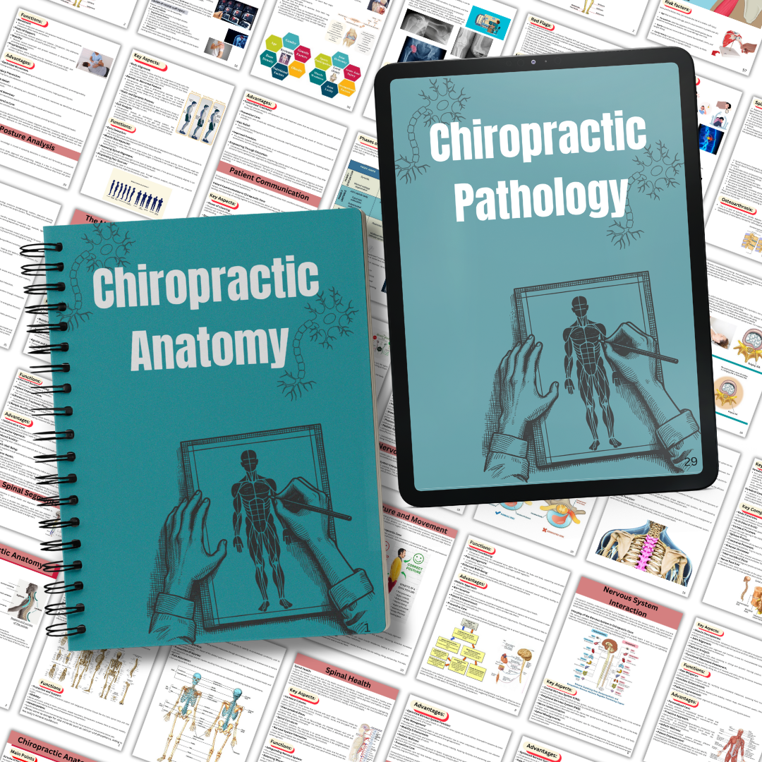 Chiropractic Anatomy & Phatology